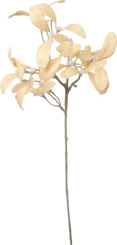 スノーミスルトゥースプレーの画像