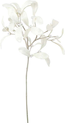 スノーミスルトゥースプレーの画像