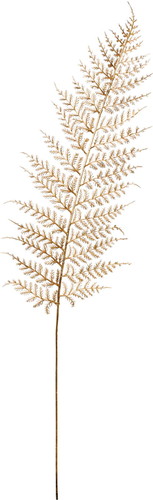 ブリリアントシダーリーフの画像