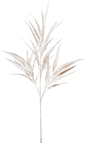 ブラッシュホソバユーカリブランチの画像