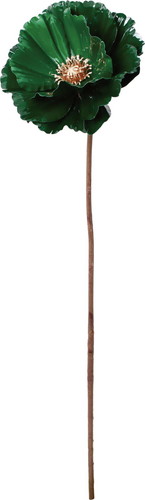 ポセリンロングポピーの画像