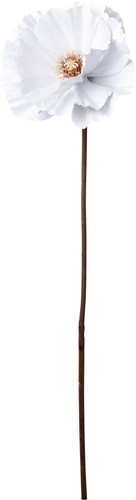 ポセリンロングポピーの画像