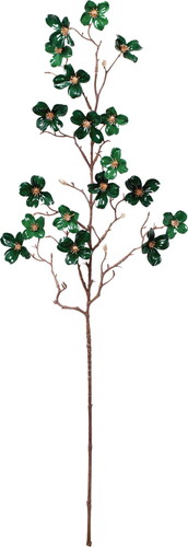 ポセリンドックウッドブランチの画像