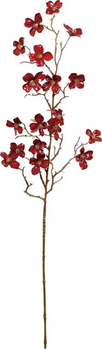 ポセリンドックウッドブランチの画像