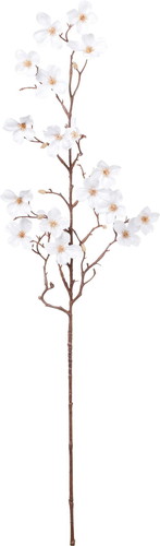 ポセリンドックウッドブランチの画像