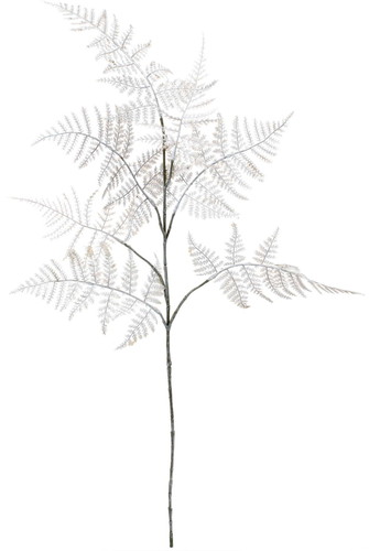 ブラッシュシダースプレーの画像