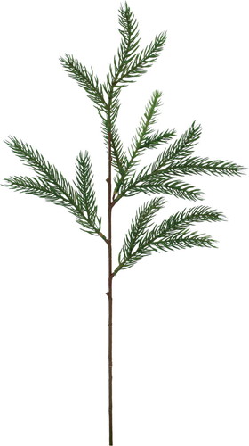 パインスプレーの画像