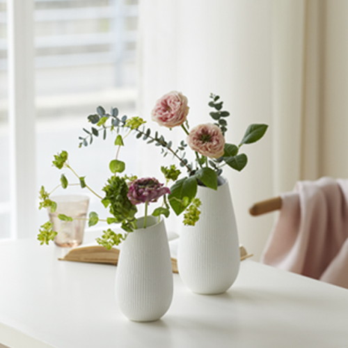 Bien 10.5φ20H (ビエン)【WHITE】の画像
