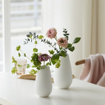 Bien 10.5φ20H (ビエン)【WHITE】の画像