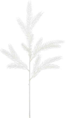 パインスプレーの画像