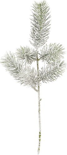 スノーパインショートの画像