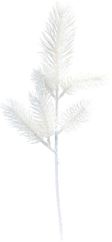 ホワイトパインショートの画像