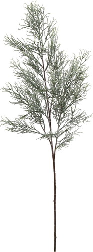 フロスティーリーフブランチの画像