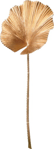 ファンパームリーフの画像