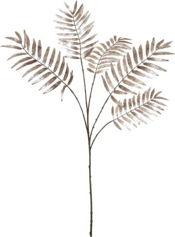 ホイールパームリーフスプレーの画像