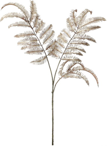 ホイールアリスタリーフスプレーの画像