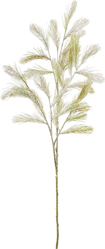 スライトスノーパインブランチの画像