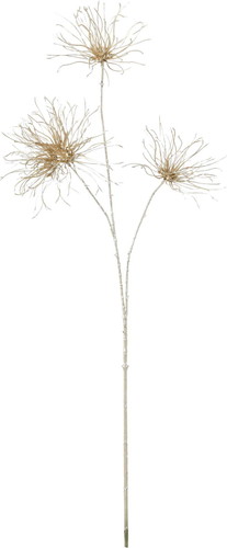 グリッターアネモネシードの画像