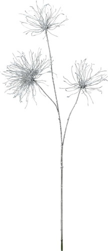 グリッターアネモネシードの画像