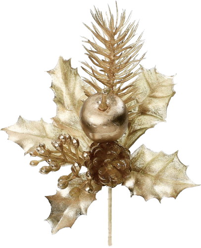 ブラッシュアップルホーリーピックの画像