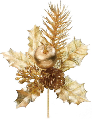 ブラッシュアップルホーリーピックの画像