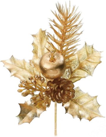 ブラッシュアップルホーリーピックの画像