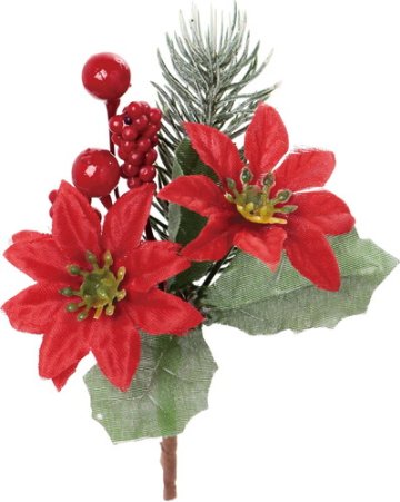 ポインセチアミックスピックの画像