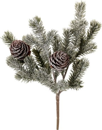 スノーパインコーンブッシュの画像