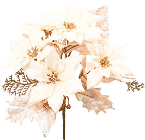 ミックスポインセチアブッシュの画像