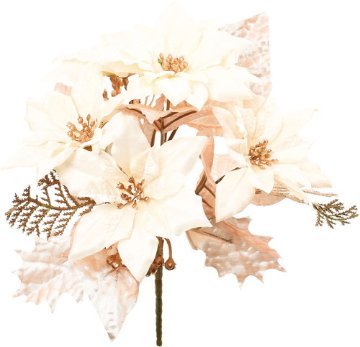 ミックスポインセチアブッシュの画像