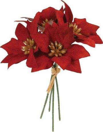 ベルベットポインセチアピック4Pの画像