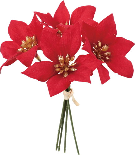 ベルベットポインセチアピック4Pの画像