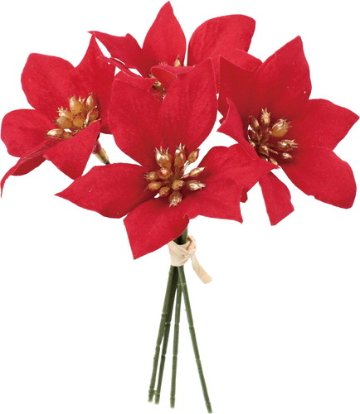 ベルベットポインセチアピック4Pの画像