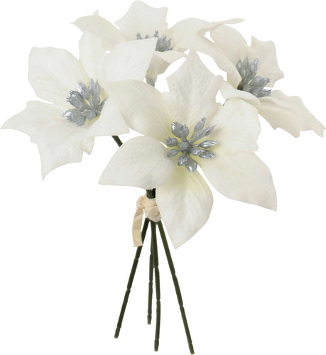 ベルベットポインセチアピック4Pの画像