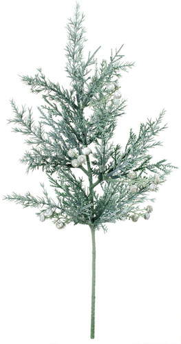 ジュニパーベリーブランチの画像