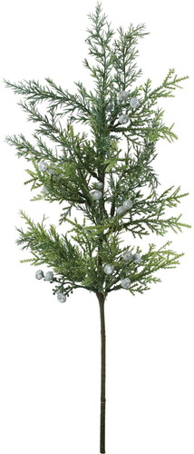 ジュニパーベリーブランチの画像