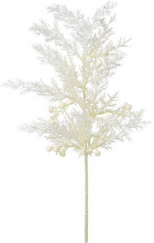 ジュニパーベリーブランチの画像