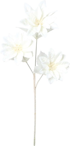 ネージュポインセチアスプレーの画像