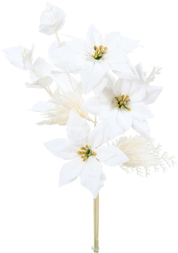 ホワイトポインセチアラッピングの画像