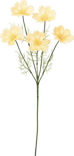 コスモススプレーの画像