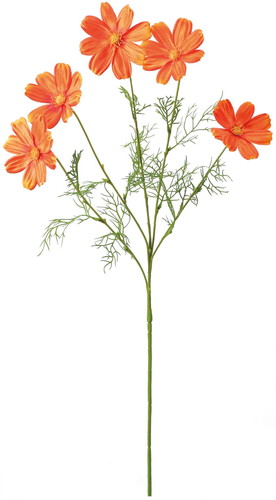 サテンコスモススプレーの画像