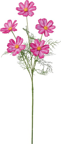 サテンコスモススプレーの画像