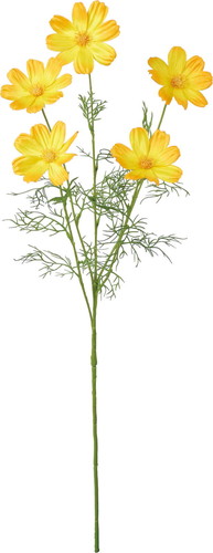 サテンコスモススプレーの画像