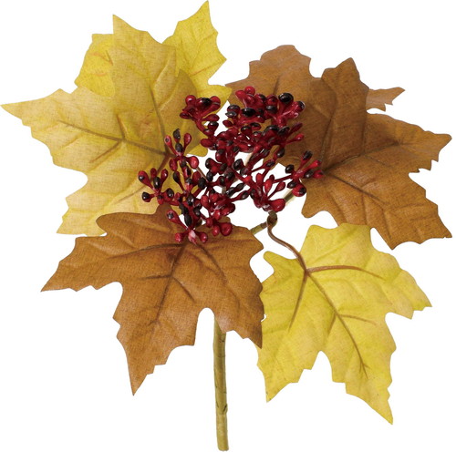 オータムミニベリーブッシュの画像