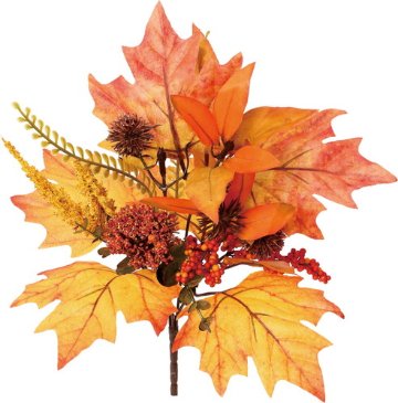 オータムミックスベリーブッシュの画像