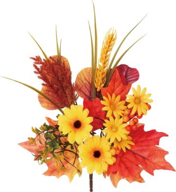 オータムリーフミックスデイジーブッシュの画像