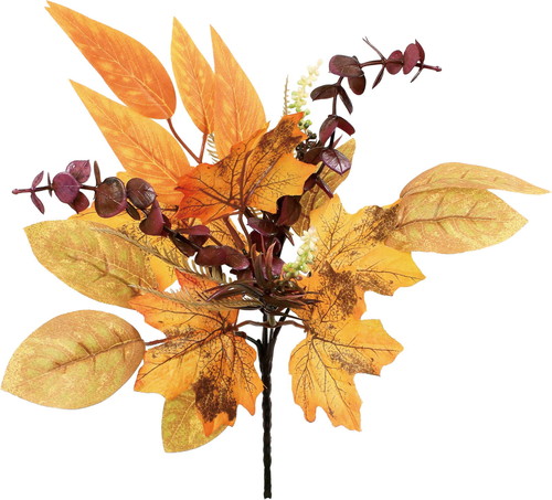 オータムミックスユーカリブッシュの画像