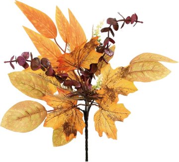 オータムミックスユーカリブッシュの画像