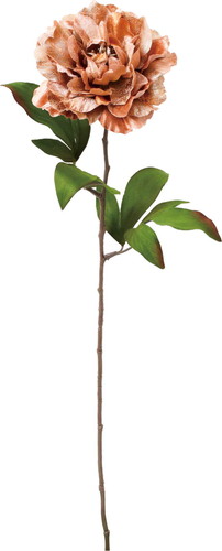 ベルベットピオニーの画像