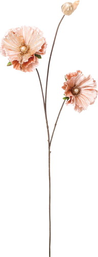 ベルベットポピースプレーの画像